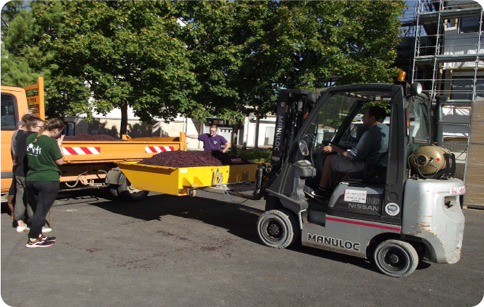 CACES Initial/Recyclage Chariot à conducteur porté - R489 - Catégorie 3
