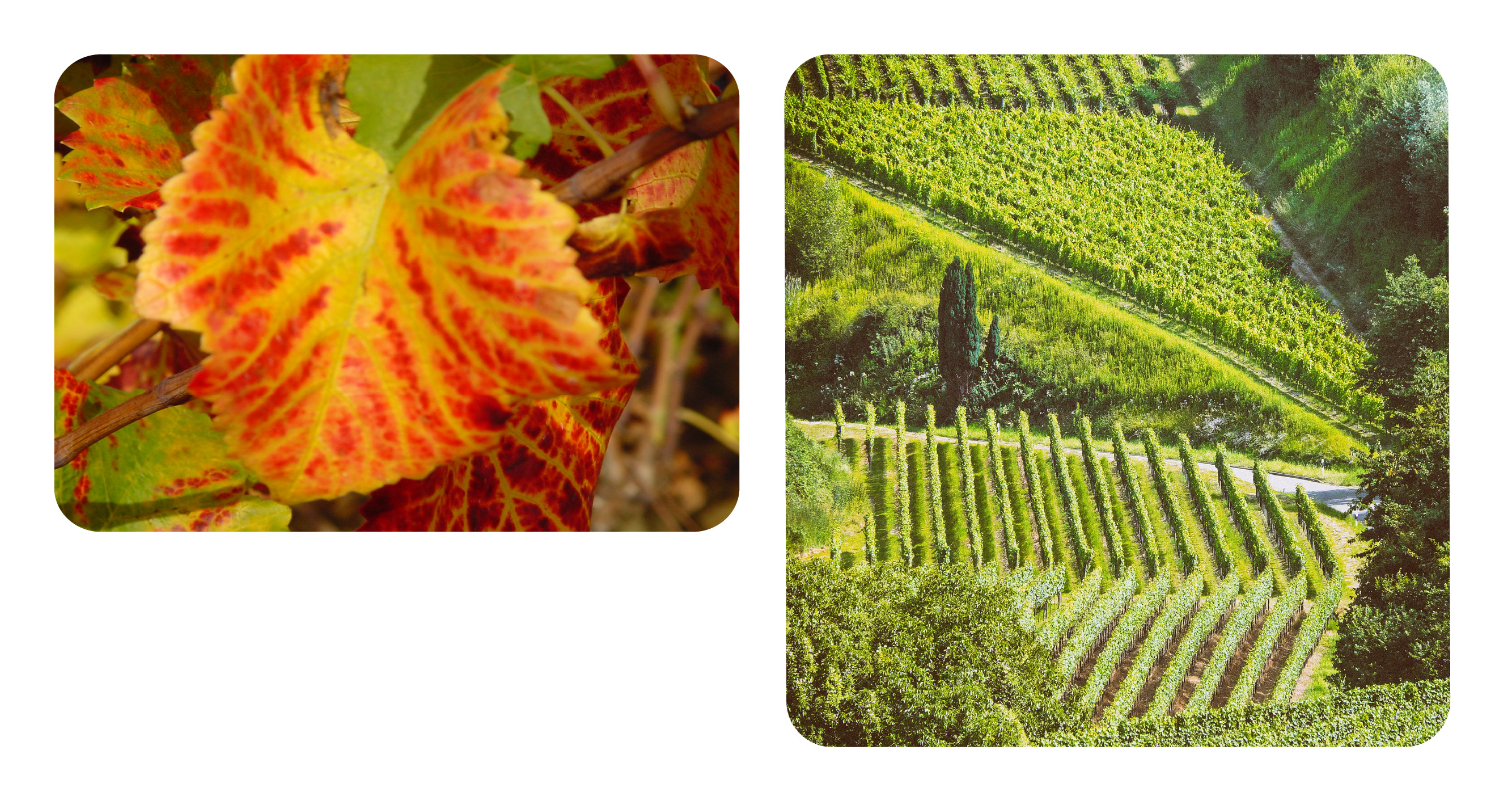 CFPPA de BEAUNE